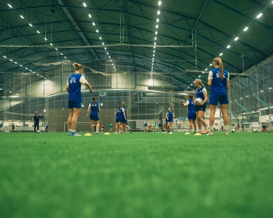 VIFKTreenit DSC05672 1 20 01 2026 174946